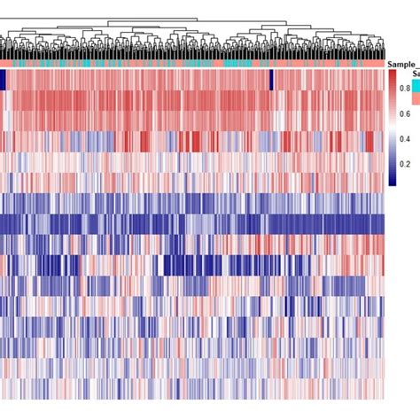 The Heatmap Showing The Methylation Levels Of 48 CpG Sites