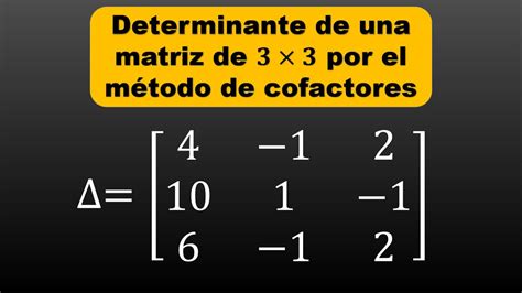 Ocupado Inquieto Reducir Determinante De Una Matriz 3x3 Por Cofactores