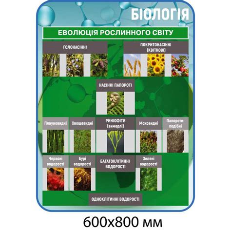 Купить Комплект стендов для кабинета биологии (голубой) артикул 5873 ...