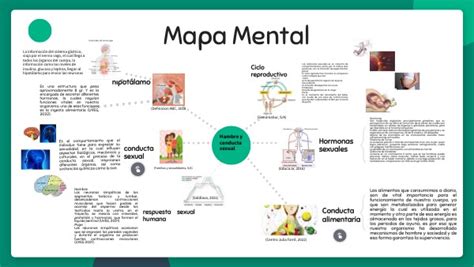 MAPA MENTAL EDUCACIÓN