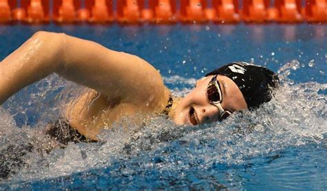 Natation Lexcellent Bilan Du Cercle Des Nageurs De Brest Aux