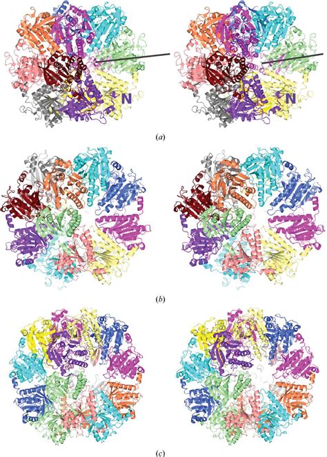 Figure 2 From Structure Of A Hexameric Form Of RadA Recombinase From