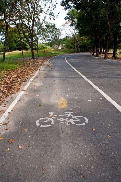 bike lane stock photo image  healthy biker environment