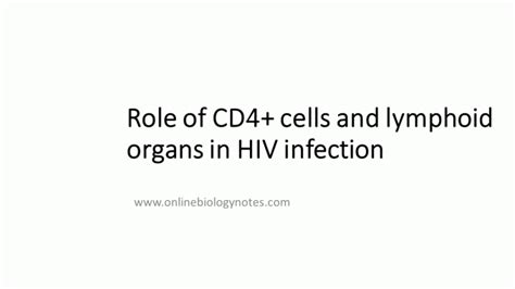 Role of CD4+ cells (T-lymphocytes, macrophages and monocytes) and ...