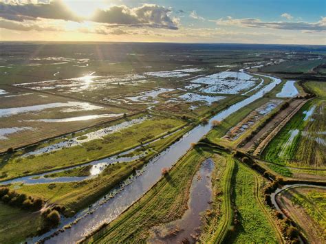 Save Minster Marshes | Wildlife