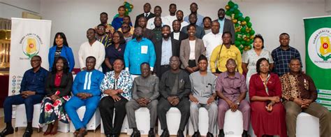 Ghana Health Service, Partners Launch The Country Innovation Platform ...