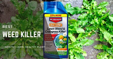 5 Best Weed Killer For Lawns In 2024 Reviewed Geartrench