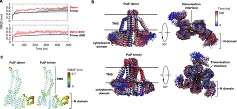 Membrane Platform Protein Pulf Of The Klebsiella Type Ii Secretion