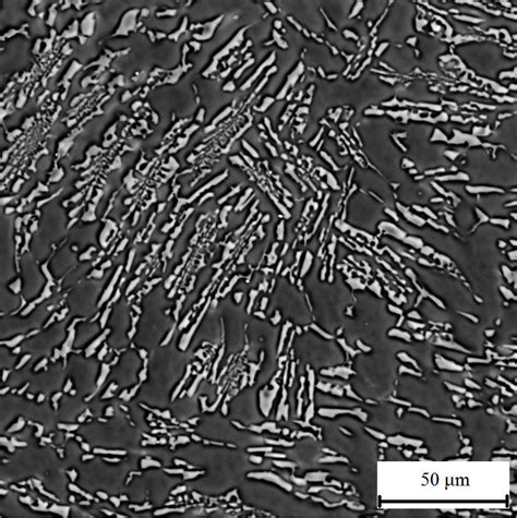 Microstructure Of Near Eutectic Ternary Alloys Al4Ca12Mg A C And