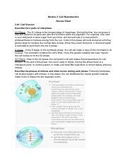 Module Biology Notes Pdf Module Cell Reproduction Review Sheet