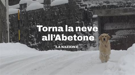 Neve In Toscana Fino A 40 Centimetri Nelle Ultime Ore Si Scia Il 25