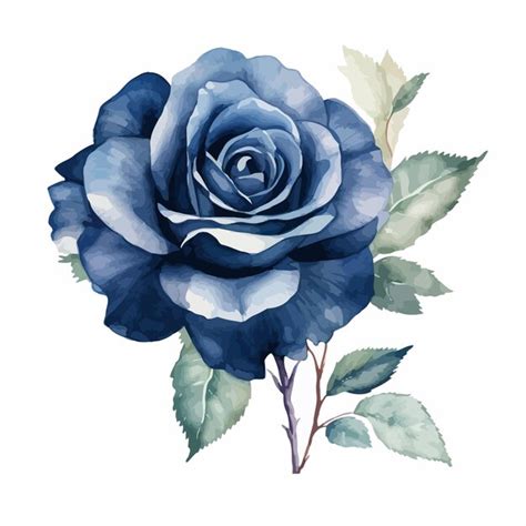 Premium Vector Watercolor Flowers Rose Vector