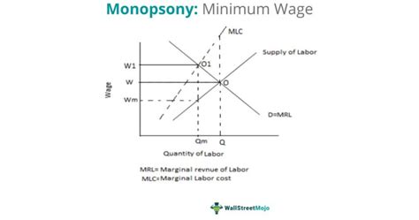 Monopsony Definition Power Market Examples And Graph