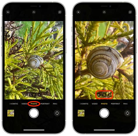 Ipod For Macro Lenses Explained