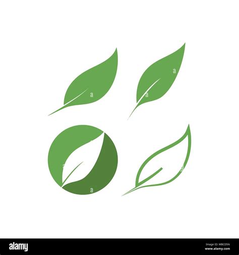 Leaf Graphic Design Template Vector Isolated Illustration Stock Vector