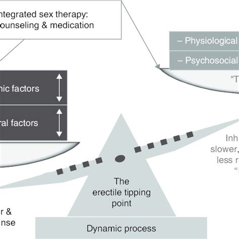 PDF Integrated Sex Therapy A Psychosocial Cultural Perspective Integrating Behavioral