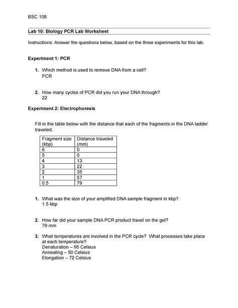 Lab Biology Pcr Worksheet Done Bsc Lab Biology Pcr Lab