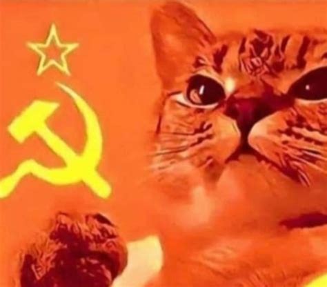 Communist Propaganda Propaganda Art Anime Cat Anime Chibi Communism