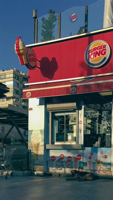 Requisitos Burger King Descubre Todo Lo Necesario