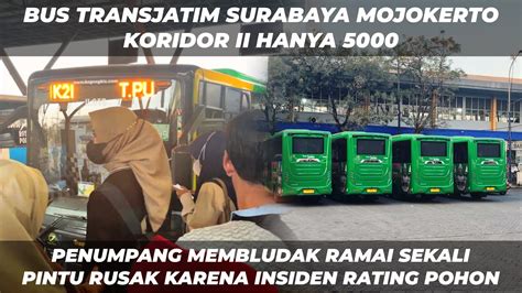 BUS TRANSJATIM SURABAYA MOJOKERTO KORIDOR II CARA NAIK BUS TRANSJATIM