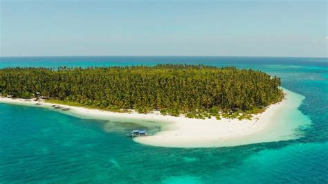 Premium Photo Tropical Island With Sandy Beach Balabac Palawan