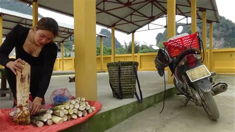 Harvesting Bamboo Shoots And Tubers Bamboo Shoots Going To The Market To Sell Green Forest