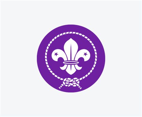 WOSM Badge – Shop | Scouts Maldives