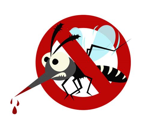 Dengue Illustrations Royalty Free Vector Graphics And Clip Art Istock