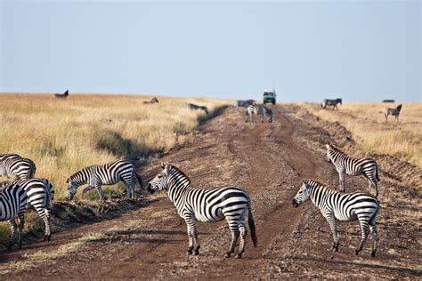 Tripadvisor Tage Samburu National Reserve Safari Von Nairobi Zur