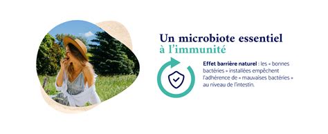 Probiotique Flore Intestinale Milliards Ufc Jour Souches