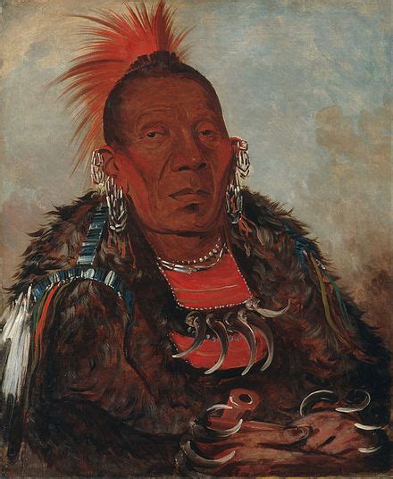 George Catlin Wikipedia