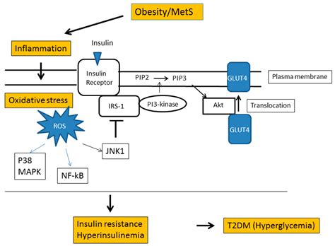 Antioxidants Free Full Text Measurement And Clinical Significance