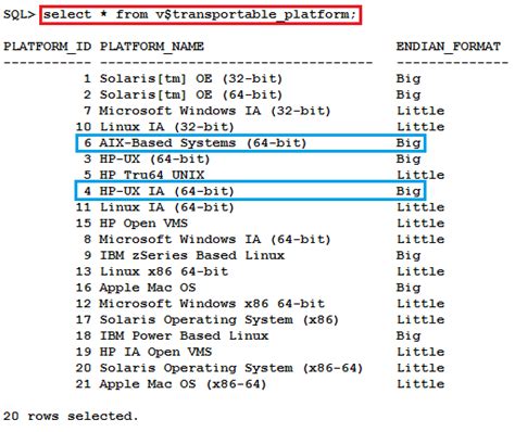 Ejemplo De Base De Datos Oracle Nuevo Ejemplo