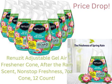 Renuzit Adjustable Gel Air Freshener Cone Oz Cone Count Renuzit