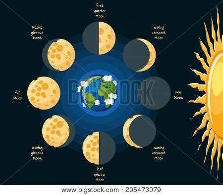 Basic Moon Phases Vector & Photo (Free Trial) | Bigstock