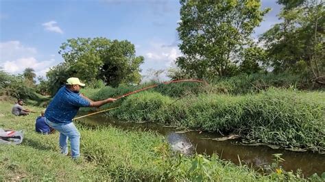 Small Single Hook Fishing Fisherman Catching Big Cat Fishes To Catch