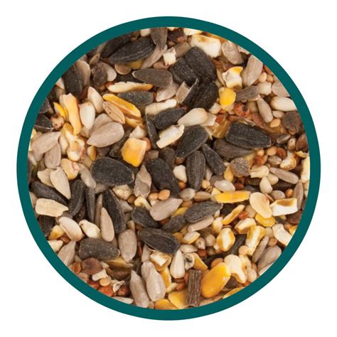 Walter Harrison S Premier Wild Bird Mix