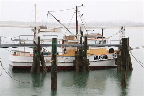 Sunlive Rules Changes To Affect Boaties The Bay S News First