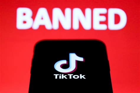 Tiktok Ban Us Government Gertrude Lamb Kabar