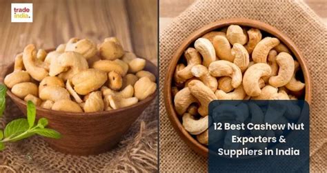 12 Best Cashew Nut Exporters & Suppliers in India