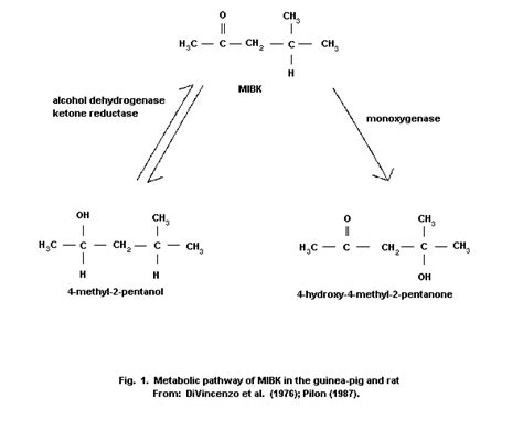 Methyl Isobutyl Ketone Ehc