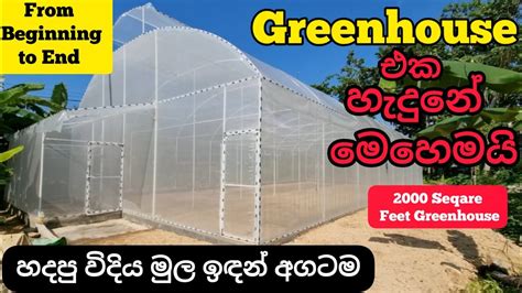 How To Build A Greenhouse Diy Greenhouse Build Polytunnel In Sri