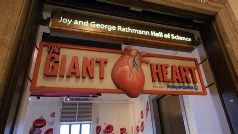 The Giant Heart Exhibit At The Franklin Institute Youtube