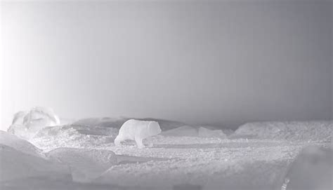 WWF – We Can’t Negotiate the Melting Point of Ice | Savva Tsekmes