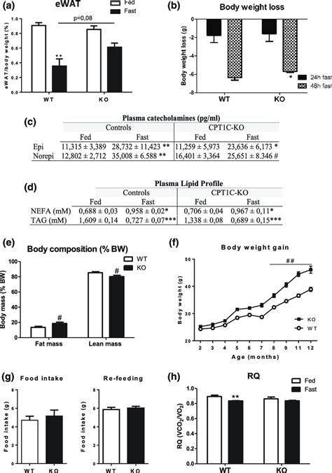 Adiposity Plasma Catecholamine Levels And RQ In WT And CPT1C KO Mice