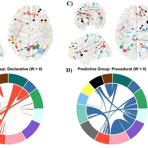 The Distribution Of Predictive Connections In Declarative And