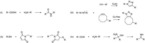 I Reaction Between A Carboxylic Acid And An Amine To Form An Amide