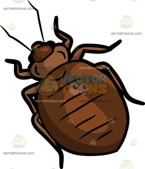 bed bugs clipart 10 free Cliparts | Download images on Clipground 2024