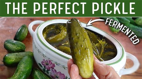 Fermented Pickles No Vinegar Clean Food Living