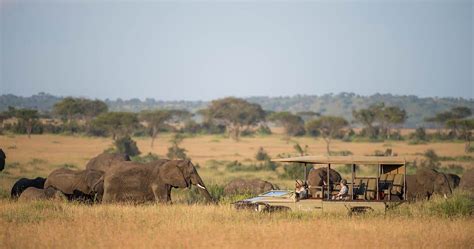 Grumeti Game Reserve in Serengeti National Park - Tanzania